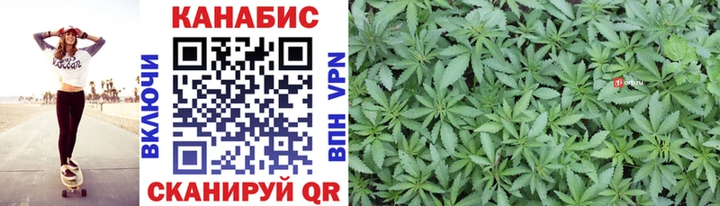 Где найти наркотики Балашиха ГАШ Галлюциногенные грибы Меф Alpha-PVP
