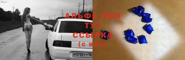 молекула духа Алексин