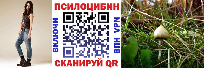 Галлюциногенные грибы GOLDEN TEACHER  Балашиха 