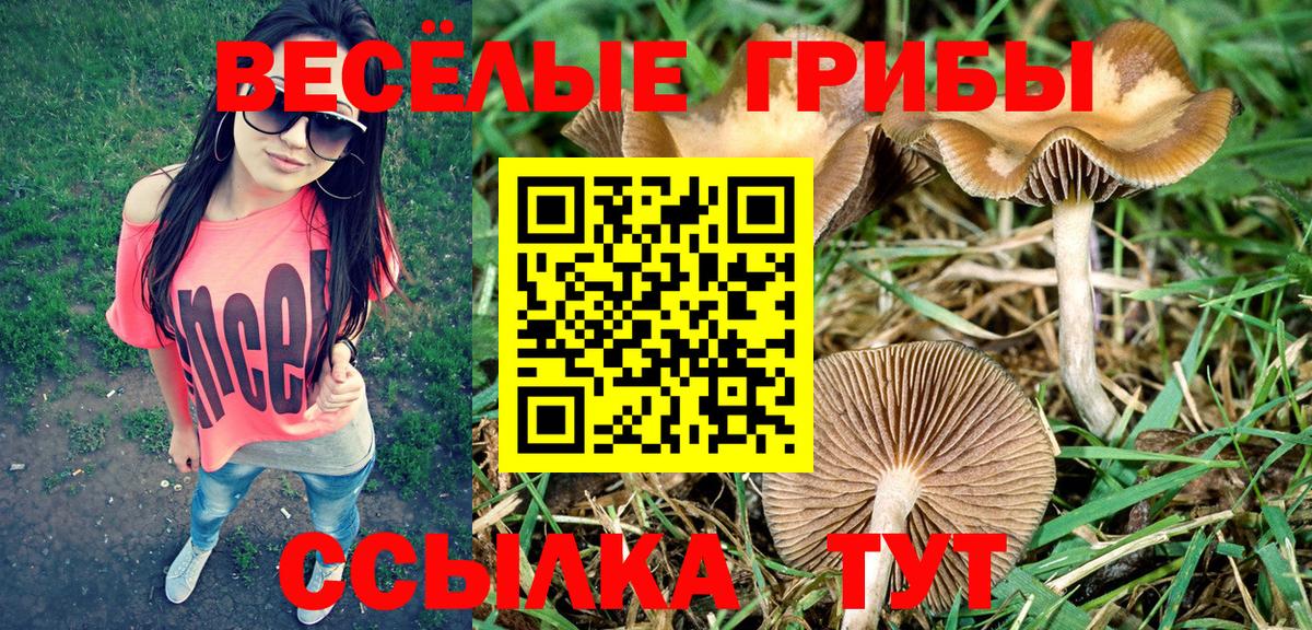 Псилоцибиновые грибы MAGIC MUSHROOMS  Галлюциногенные грибы Psilocybine cubensis  Вход с VPN  Балашиха 
